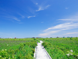 琵琶瀬木道と青空