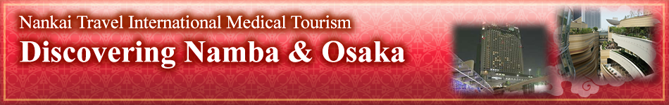 Discovering Namba & Osaka