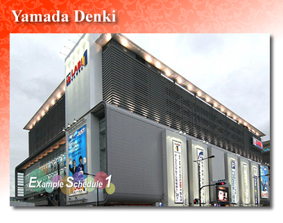 Yamada Denki