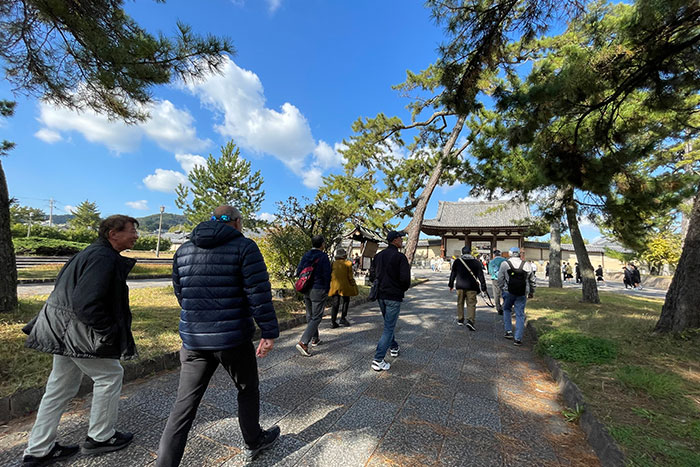 Go around World Heritage Hôryû-ji with local Guide included a lunch or premium shaved ice.
