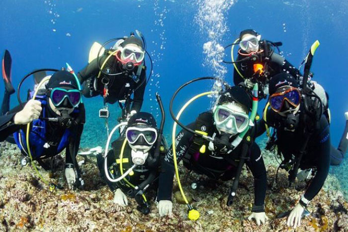 Trial diving tour that even inexperienced people can enjoy safely