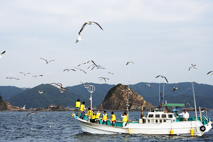 Shirasaki Cruise