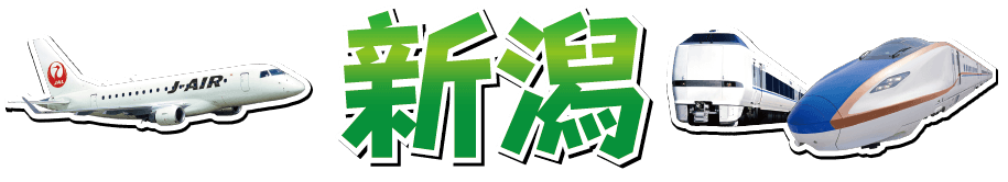 新潟 鹿児島・宮崎 レンタカー付