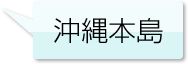 沖縄本島