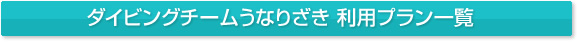 ダイビングチームうなりざき　利用プラン一覧