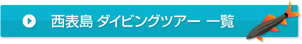 西表島　ダイビングツアー　一覧