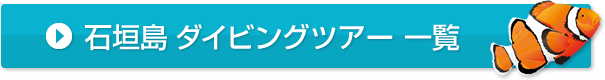 石垣島　ダイビングツアー　一覧