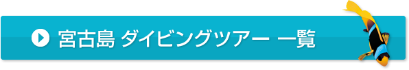 宮古島　ダイビングツアー　一覧