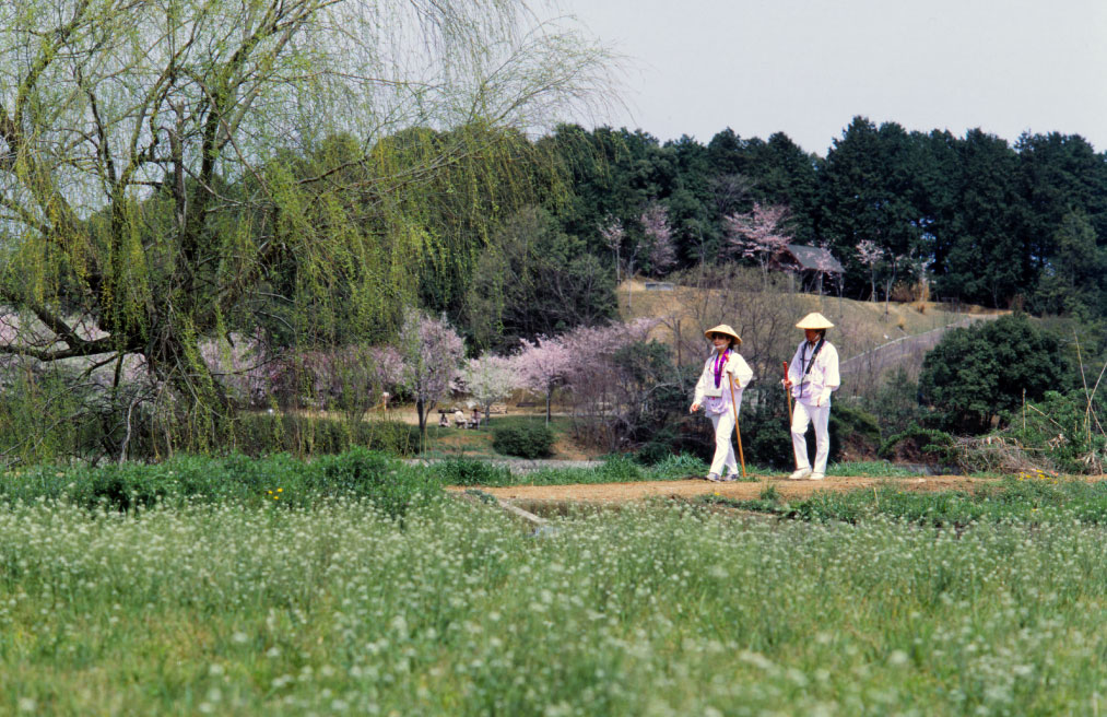 第8回　逆打ち・歩き遍路の旅　78番・郷照寺～73番・出釈迦寺