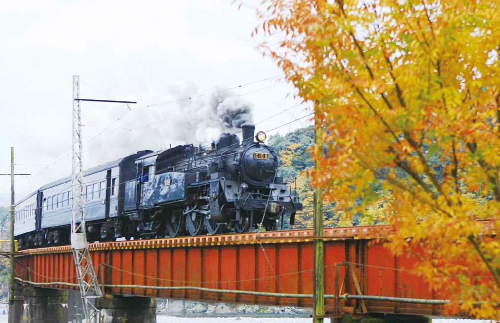 SL列車とあぷとライン　寸又峡紅葉ウォーク