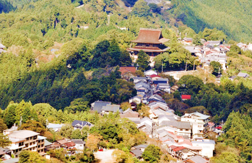 第10回　大和まほろばハイク　パートⅡ　五穀豊穣の吉野山を歩く