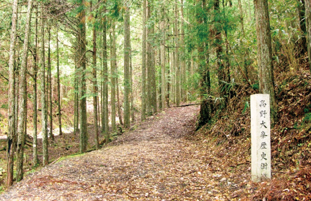 第6回　すずかけの道を歩く　五番関トンネル～青根ヶ峰