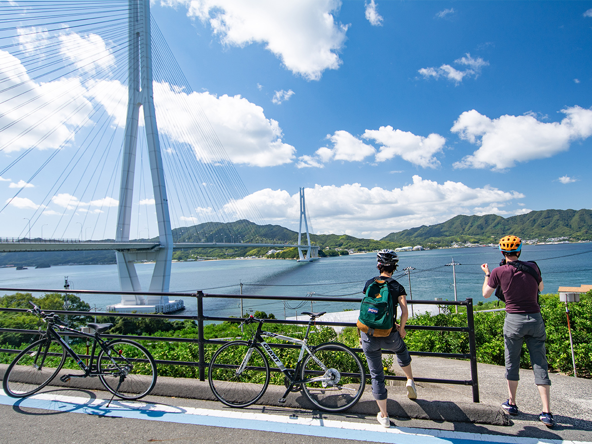 新聞掲載ツアー