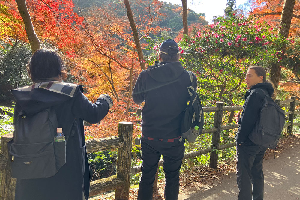 Minoh Park Yoga and Minoh Falls Experience (Minoh, Osaka prefecture)