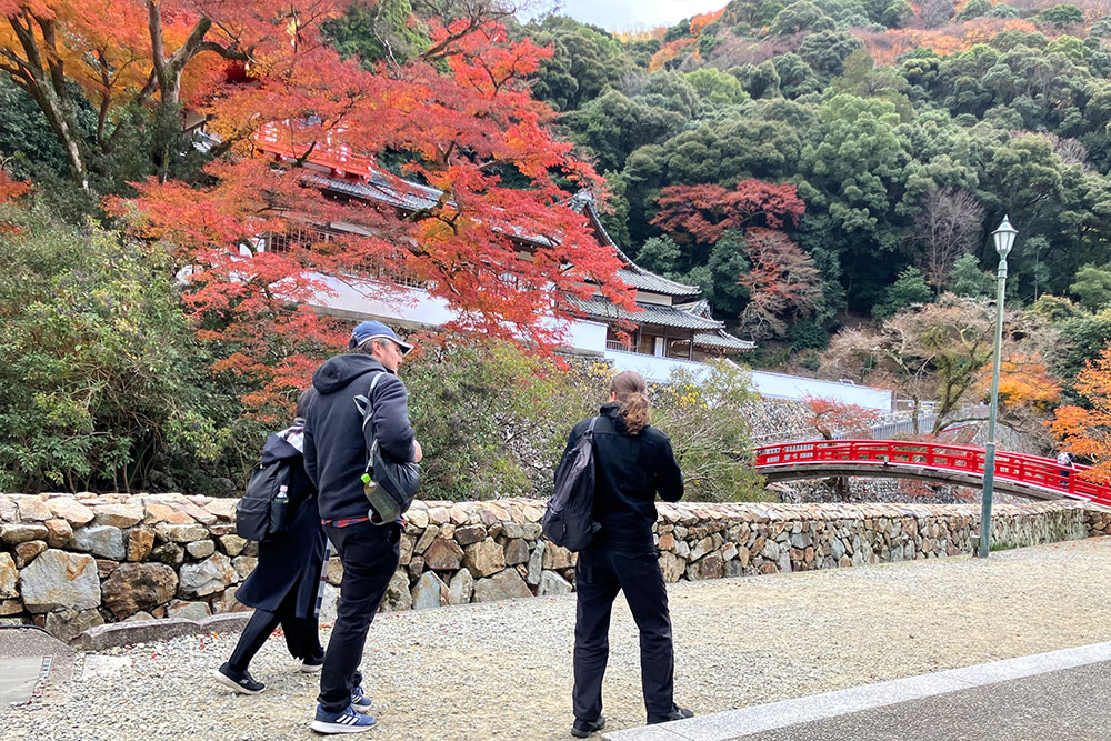 Minoh Park Yoga and Minoh Falls Experience (Minoh, Osaka prefecture)