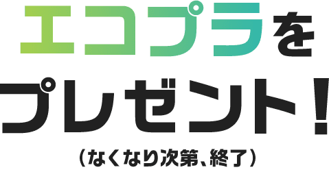 エコプラをプレゼント！（なくなり次第終了）