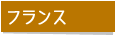 フランスツアー情報
