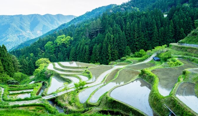 樫原の棚田