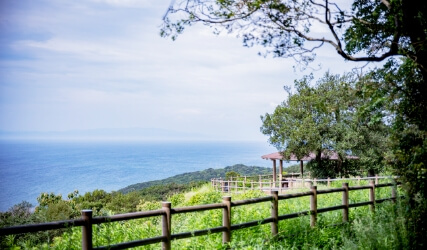 展望台からの景色