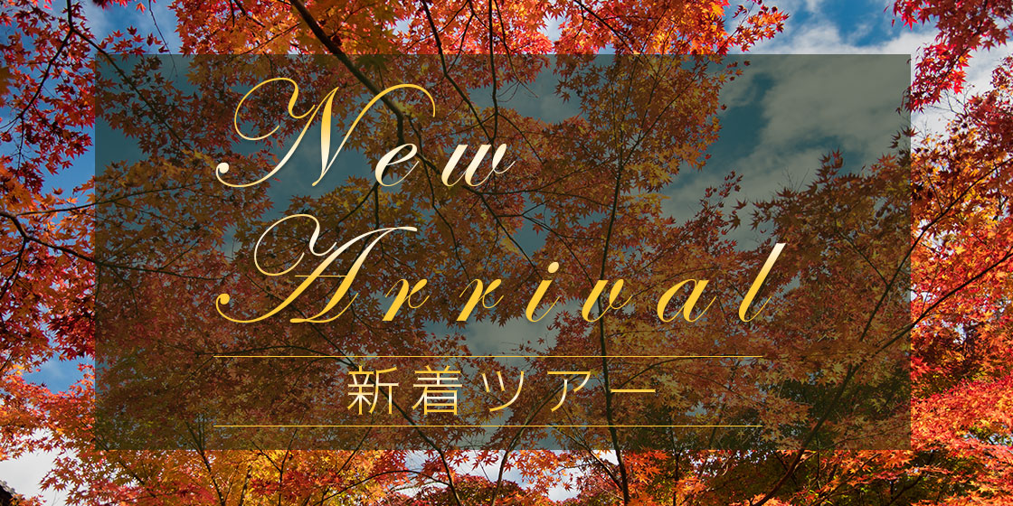 南海国際旅行の新着ツアー