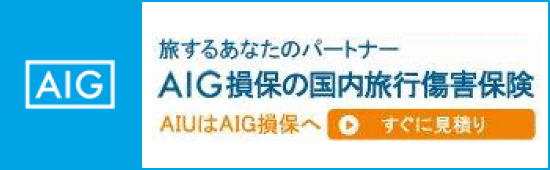 AIG損保の国内旅行傷害保険 すぐに見積り